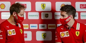 Foto zur News: Vettel und Leclerc versichern: Keine dicke Luft mehr bei