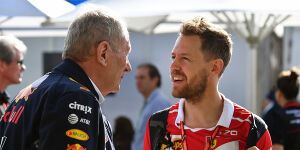 Foto zur News: Sebastian Vettel: Glaube nicht, dass Red Bull eine Option