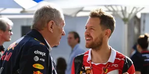 Foto zur News: Sebastian Vettel: Glaube nicht, dass Red Bull eine Option