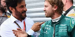 Foto zur News: FIA-Präsident übt sanfte Kritik an Sebastian Vettel und