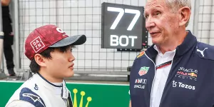 Foto zur News: AlphaTauri-Fahrer 2023: Tsunoda #AND# Gasly laut Helmut