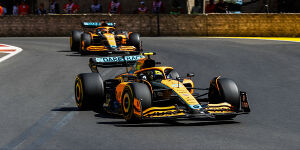 Foto zur News: Lando Norris kann McLaren-Teamorder pro Ricciardo nicht