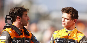 Foto zur News: Lando Norris: Konnte von Ricciardo auch manches lernen