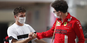 Foto zur News: Charles Leclerc: Teamchefwechsel wird Ferrari 2023 nicht