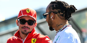 Foto zur News: Nico Rosberg: Warum das Teamduell Hamilton/Leclerc nicht