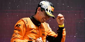 Foto zur News: Max Verstappen: Wäre ich Sauber, hätte ich Bortoleto längst
