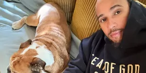 Foto zur News: Sorge um Roscoe: Hamilton bekommt bei jeder WhatsApp einen
