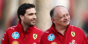 Foto zur News: Jerome d&#039;Ambrosio: Habe mich nicht als Ferrari-Teamchef gefühlt