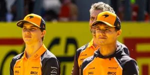 Foto zur News: McLaren-Teamchef Stella stellt Teamorder in Aussicht, wenn ...