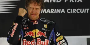 Foto zur News: 14. November 2010: Sebastian Vettel wird Formel-1-Weltmeister