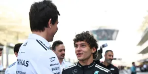 Foto zur News: "Den Kannibalen vorgeworfen": Toto Wolffs Urteil über Antonellis Rookie-Jahr