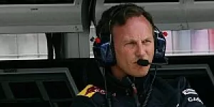 Foto zur News: Horner: &quot;Die größten Verlierer sind die Fans&quot;