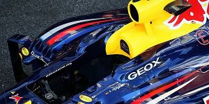 Foto zur News: Formel 1 künftig mit Cockpithauben? Vettel zwiegespalten