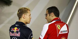 Foto zur News: Domenicali: Keine Vorwürfe gegen Red Bull