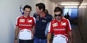 Foto zur News: Webber &amp;quot;sehr nah&amp;quot; an Ferrari-Cockpit 2013