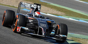 Foto zur News: Sutil ist die &quot;neue&quot; Formel 1 zu langsam