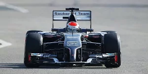 Foto zur News: Sauber: Kurzer Arbeitstag für Sutil