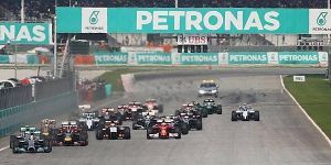 Foto zur News: FIA veröffentlicht Formel-1-Regeln für 2015