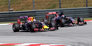 Foto zur News: Toro-Rosso-Fahrer ringen große Bullen nieder