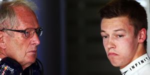 Foto zur News: Marko kritisiert Red-Bull-Piloten: &quot;Toro-Rosso-Rookies