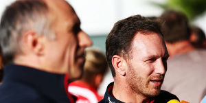 Foto zur News: Red-Bull-Teamchef Horner: Reifenkrieg kontraproduktiv