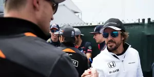 Foto zur News: Fernando Alonso: Nico Hülkenberg besser als Sebastian Vettel