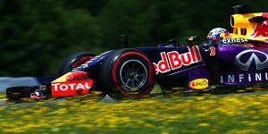 Foto zur News: Red Bull bringt neuen Frontflügel: &quot;Das letzte Puzzleteil&quot;