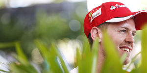 Foto zur News: Formel-1-Live-Ticker: Ricciardo will sich an Massa rächen