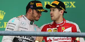 Foto zur News: Horner: Vettel und Hamilton werden nie Teamkollegen sein