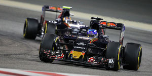 Foto zur News: Erstmals Wüstenpunkte: Toro Rosso bricht Bahrain-Fluch