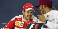 Foto zur News: Vettel &amp; Hamilton: &quot;Streit&quot; wegen Selbstmord-Möwen