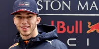 Foto zur News: Pierre Gasly: Glaube nicht, dass ich viel von Verstappen lernen kann