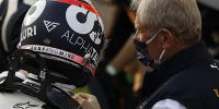 Foto zur News: Nico Rosberg: Weiß nicht, ob Gasly bei Red Bull auch so gut wäre