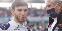Foto zur News: Helmut Marko will Pierre Gasly nicht verlieren: 2023 zurück zu Red Bull?