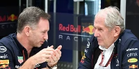 Foto zur News: Helmut Marko: Warum Red Bull &quot;Copygate 2.0&quot; nicht weiterverfolgt