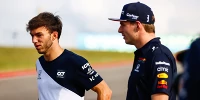 Foto zur News: Pierre Gasly: Wäre nicht näher an Max Verstappen dran als 2019