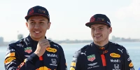 Foto zur News: Alexander Albon rechnet nicht mit Rückkehr zu Red Bull