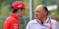 Foto zur News: Ralf Schumacher: Wen bringt Vasseur von Alfa Romeo zu Ferrari mit?
