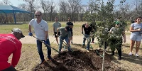 Foto zur News: Circuit of The Americas errichtet &quot;Vettel-Wäldchen&quot; in Austin