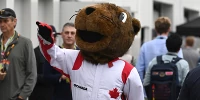 Foto zur News: Verstappen erlebt Schrecksekunde mit Murmeltier: "Der war fast tot!"
