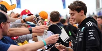 Foto zur News: Umfrage zeigt: Formel-1-Fans sind gekommen, um zu bleiben