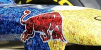 Foto zur News: Red Bull: Eine Million Euro für einen guten Zweck