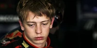 Foto zur News: Kleiner Cecotto schnuppert an der großen, weiten Welt
