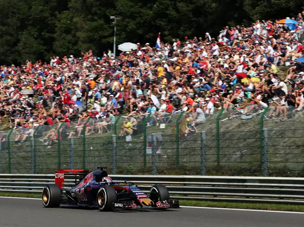 Foto zur News: Toro Rosso: Sainz Top 10, Strategie für Verstappen optimiert