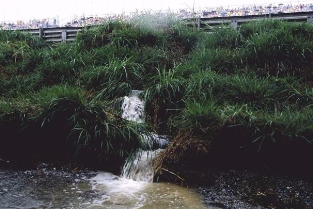 Foto zur News: Kurios: Seifenwasser verursachte Autofriedhof Interlagos 2003