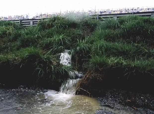 Foto zur News: Kurios: Seifenwasser verursachte Autofriedhof Interlagos 2003