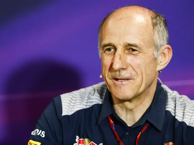 Foto zur News: Trotz "arglistiger" Aussage: Red Bull zieht Option auf Sainz