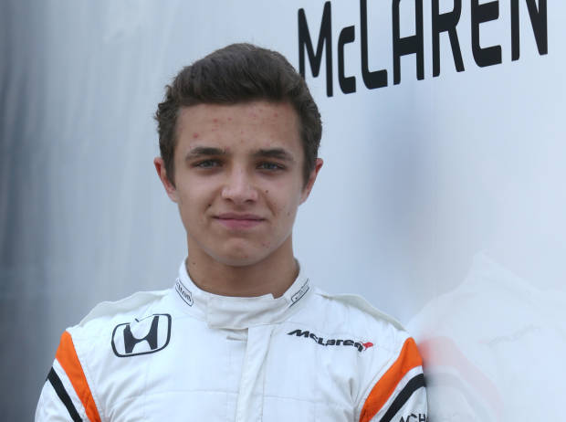 Foto zur News: Wird Formel-3-Champion Norris Ersatzfahrer bei McLaren?