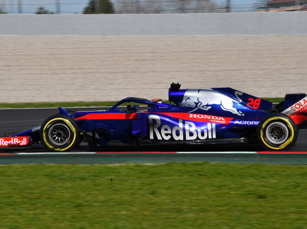 Foto zur News: Toro Rosso und Honda: Erfolge direkt im ersten Jahr?