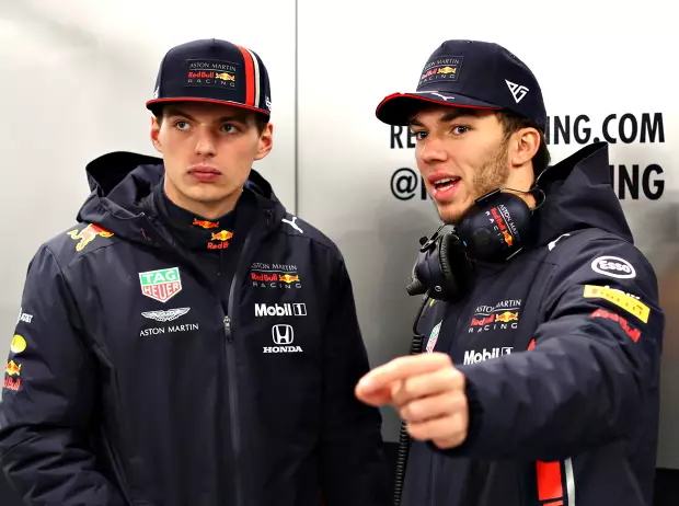 Foto zur News: Toro-Rosso-Teamchef über Stallcrashs: "Als würdest du mit einem Baum reden"